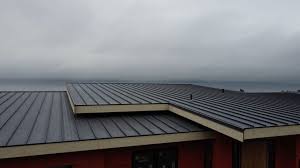 Best Rubber Roofing (EPDM, TPO)  in Ricardo, TX